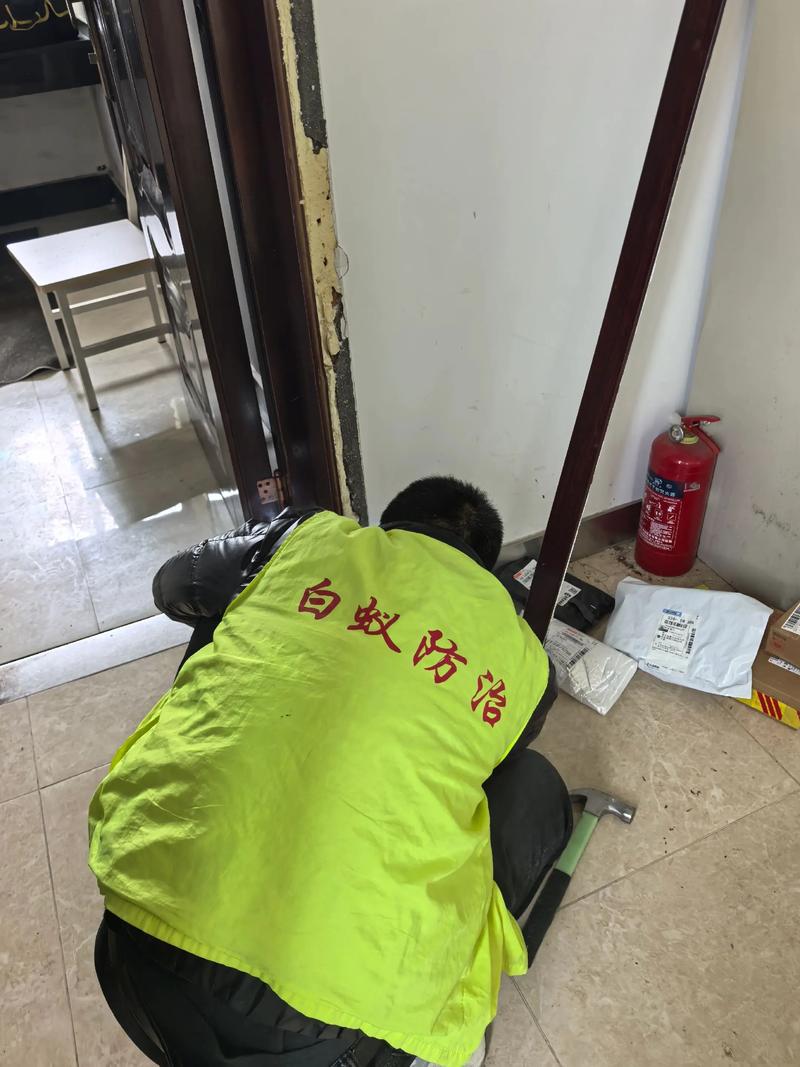 家庭安全无忧：杀虫灭鼠小知识